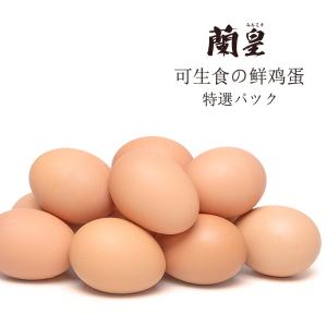 鸡蛋产品价格